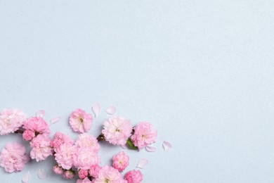 Photo of Beautiful sakura tree blossoms on light blue background, flat lay. Space for text