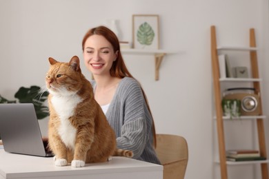 Woman working with laptop at desk. Cute cat sitting near owner at home, selective focus and space for text