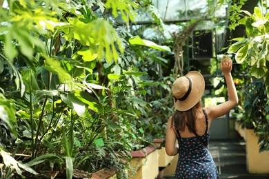 Photo of Woman walking among exotic plants in greenhouse