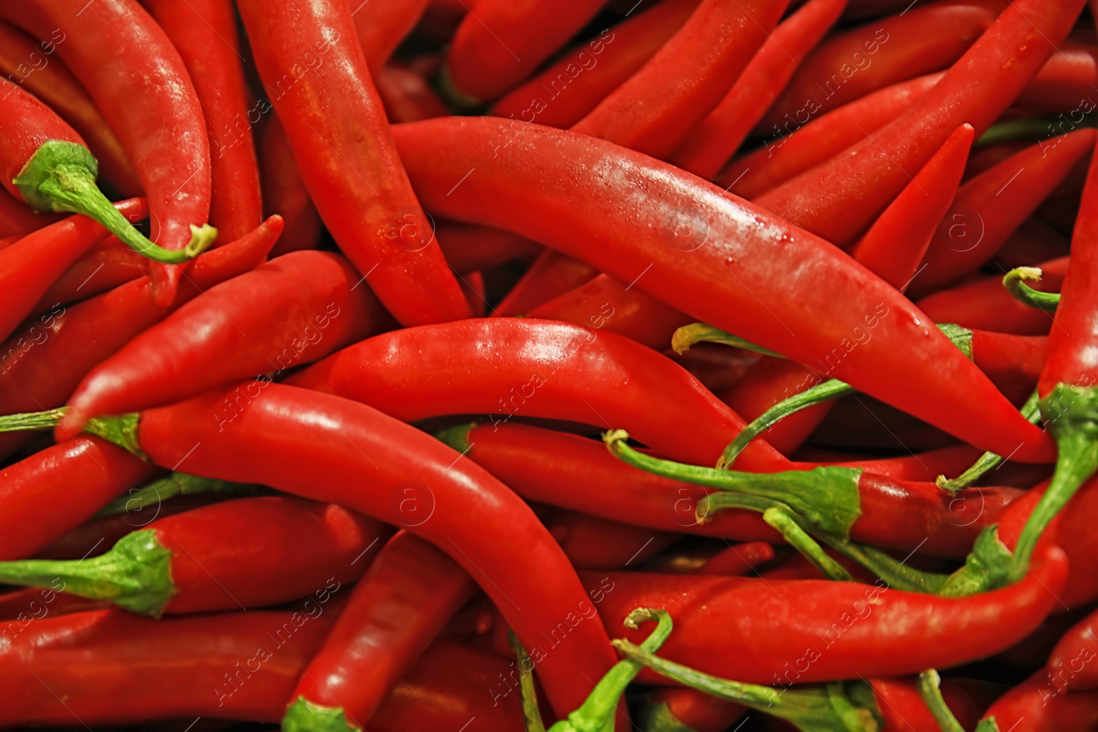 Photo of Pile of chili peppers as background, closeup