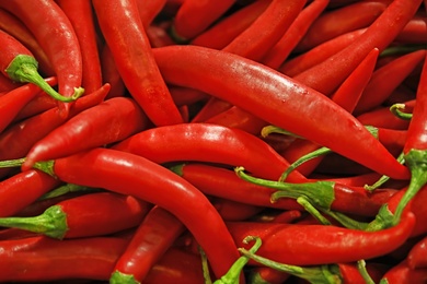 Photo of Pile of chili peppers as background, closeup