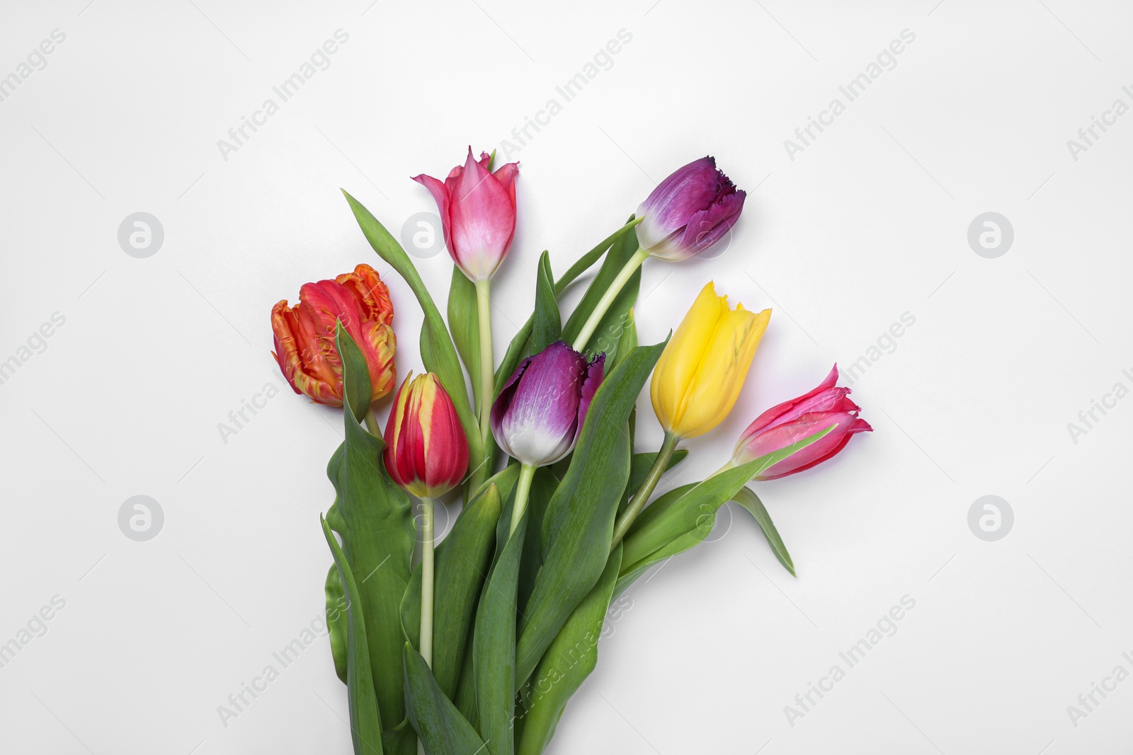 Photo of Beautiful colorful tulip flowers on white background, flat lay