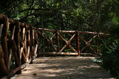 Wooden railing and beautiful exotic plants growing in tropical jungle on sunny day