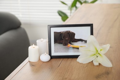 Photo of Pet funeral. Frame with picture of dog, burning candles and lily flower on wooden table indoors