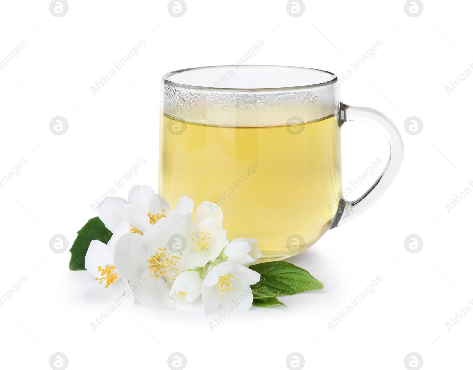 Photo of Cup of tea and fresh jasmine flowers isolated on white