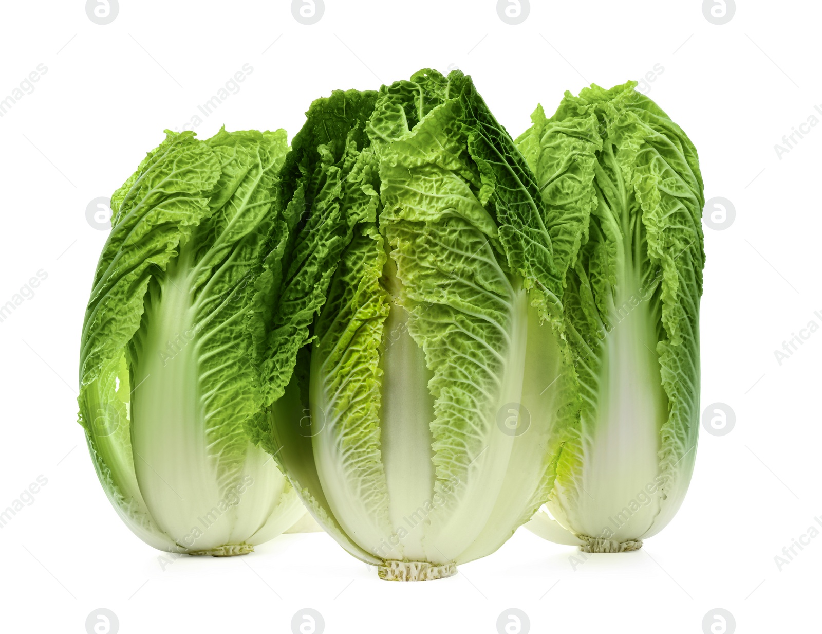 Photo of Fresh tasty Chinese cabbages on white background