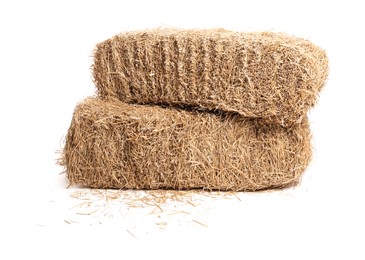 Photo of Bales of dried straw isolated on white