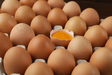 Photo of Raw chicken eggs in carton tray, closeup