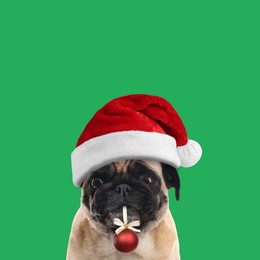 Image of Adorable dog in Santa hat holding red Christmas ball on green background