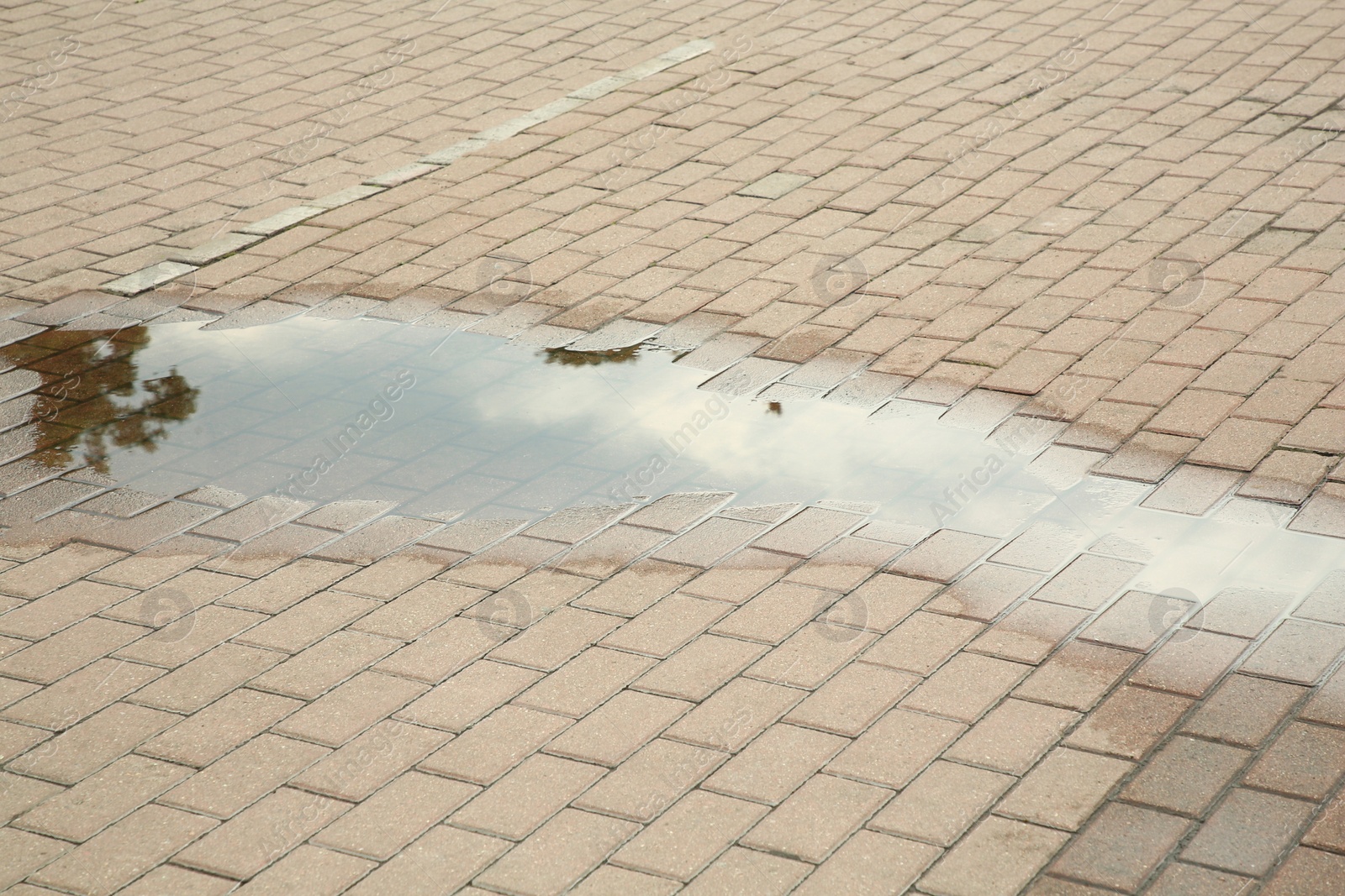 Photo of View of puddle on paving stones outdoors