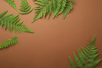 Beautiful tropical fern leaves on brown background, flat lay. Space for text