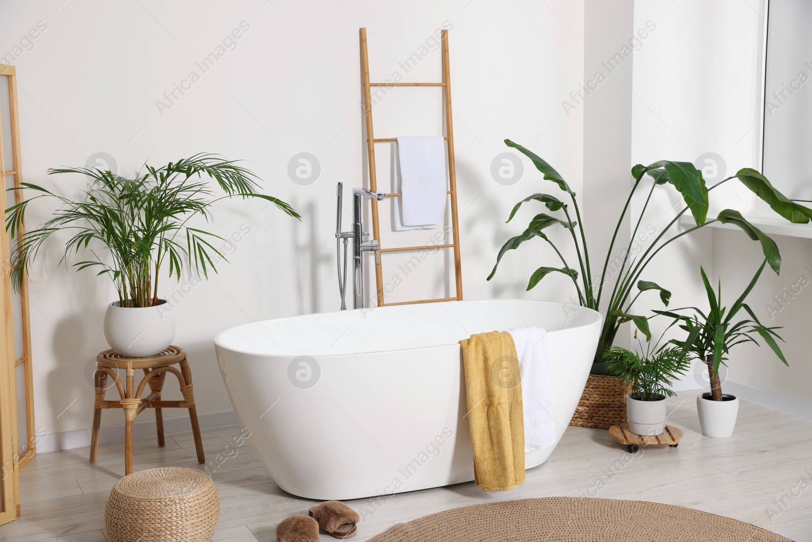 Photo of Stylish bathroom interior with modern ceramic tub and beautiful houseplants