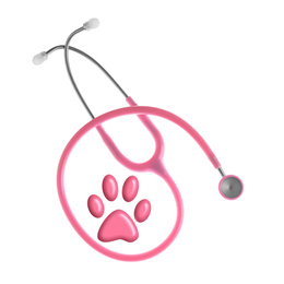 Image of Stethoscope and animal paw on white background, top view