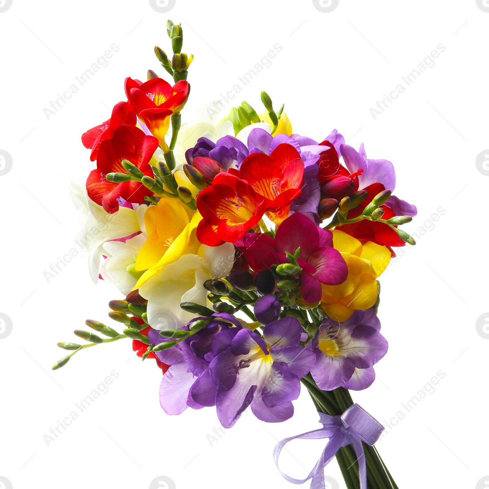 Photo of Bouquet of beautiful freesia flowers on white background