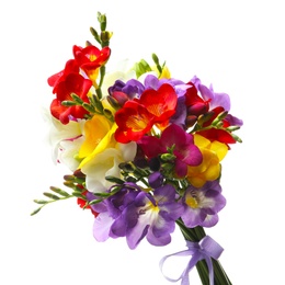 Photo of Bouquet of beautiful freesia flowers on white background