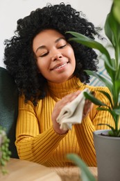 Photo of Happy woman wiping leafbeautiful potted houseplant indoors