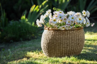Photo of Beautiful wild flowers in wicker basket on green grass outdoors, space for text