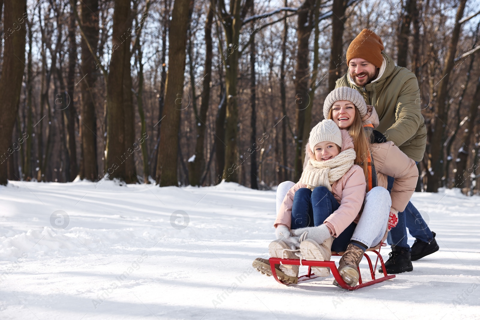 Photo of Happy family having fun with sledge in snowy forest. Space for text