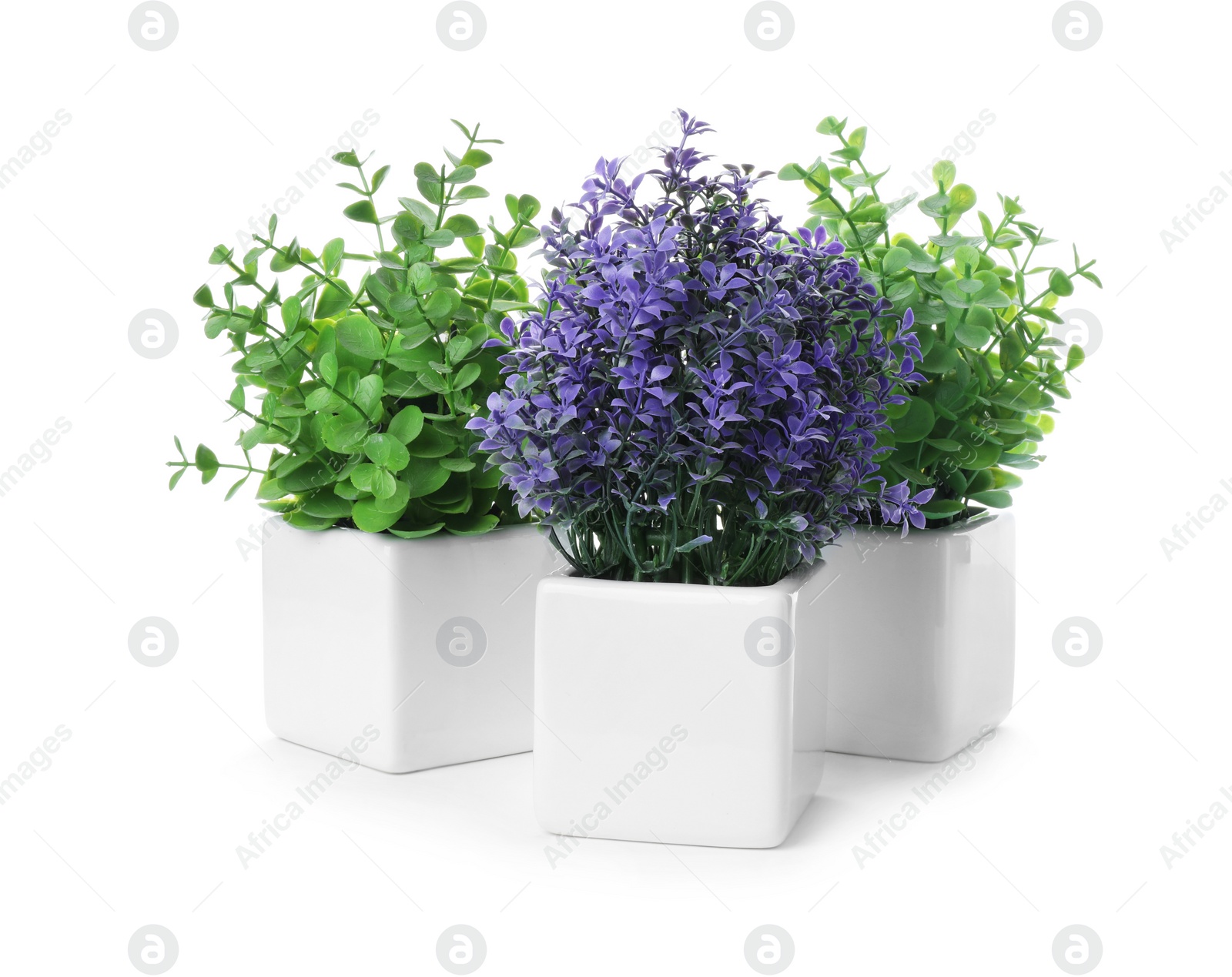 Photo of Beautiful artificial plants in flower pots isolated on white