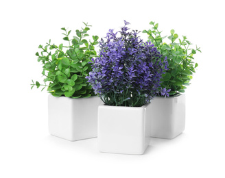 Beautiful artificial plants in flower pots isolated on white