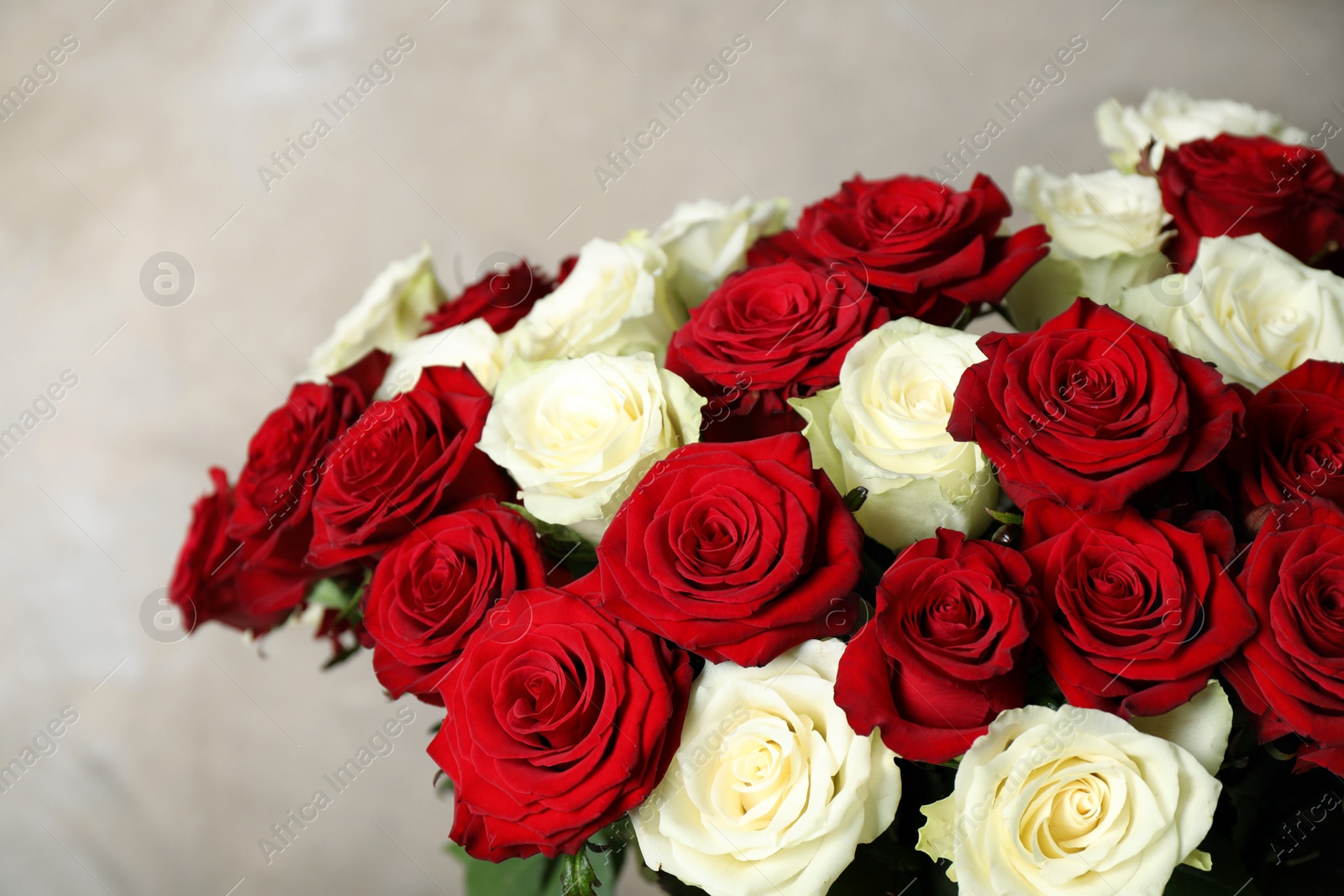 Photo of Luxury bouquet of fresh roses on beige background, closeup