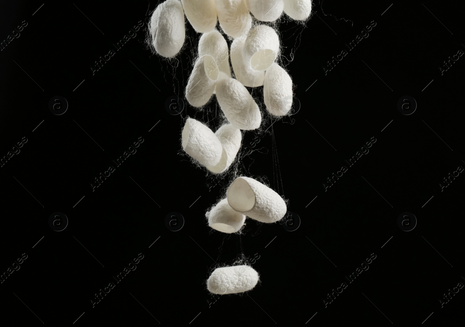 Photo of White silk cocoons falling on black background