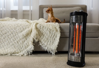 Photo of Chihuahua in living room, focus on modern electric halogen heater