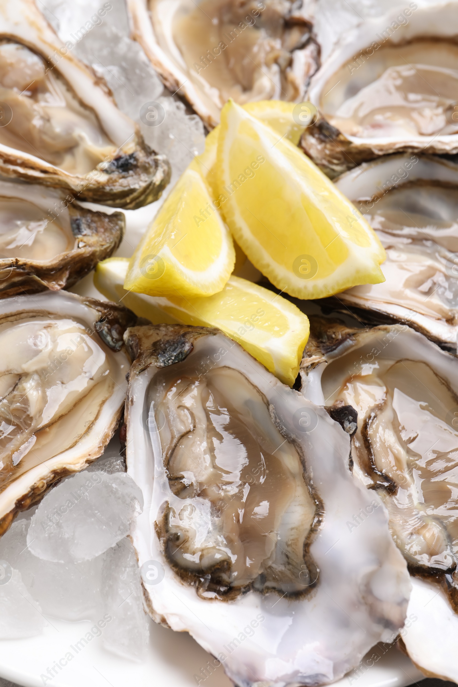 Photo of Delicious fresh oysters with lemon slices on ice, closeup