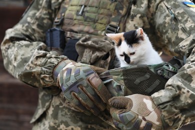Photo of Ukrainian soldier rescuing animal. Little stray cat sitting in helmet outdoors, closeup
