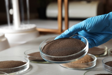 Woman holding Petri dish with soil sample over table, closeup. Laboratory research