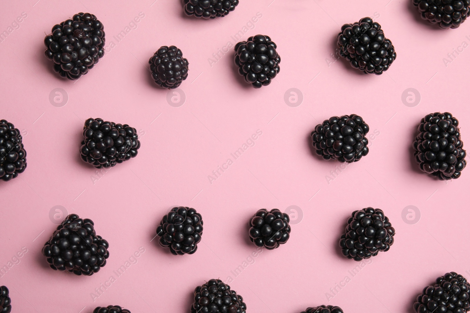 Photo of Flat lay composition with ripe blackberries on color background