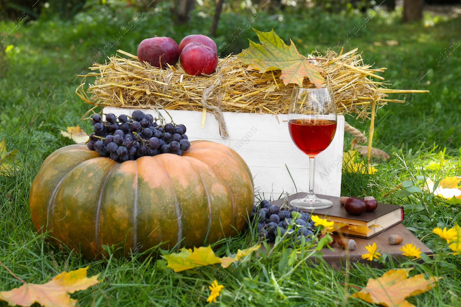 Photo of Glass of wine, book, pumpkin and grapes on green grass outdoors. Autumn picnic