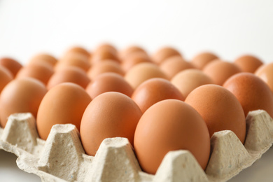 Photo of Raw chicken eggs in carton tray, closeup