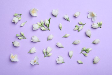 Photo of Flat lay composition with beautiful jasmine flowers on lilac background