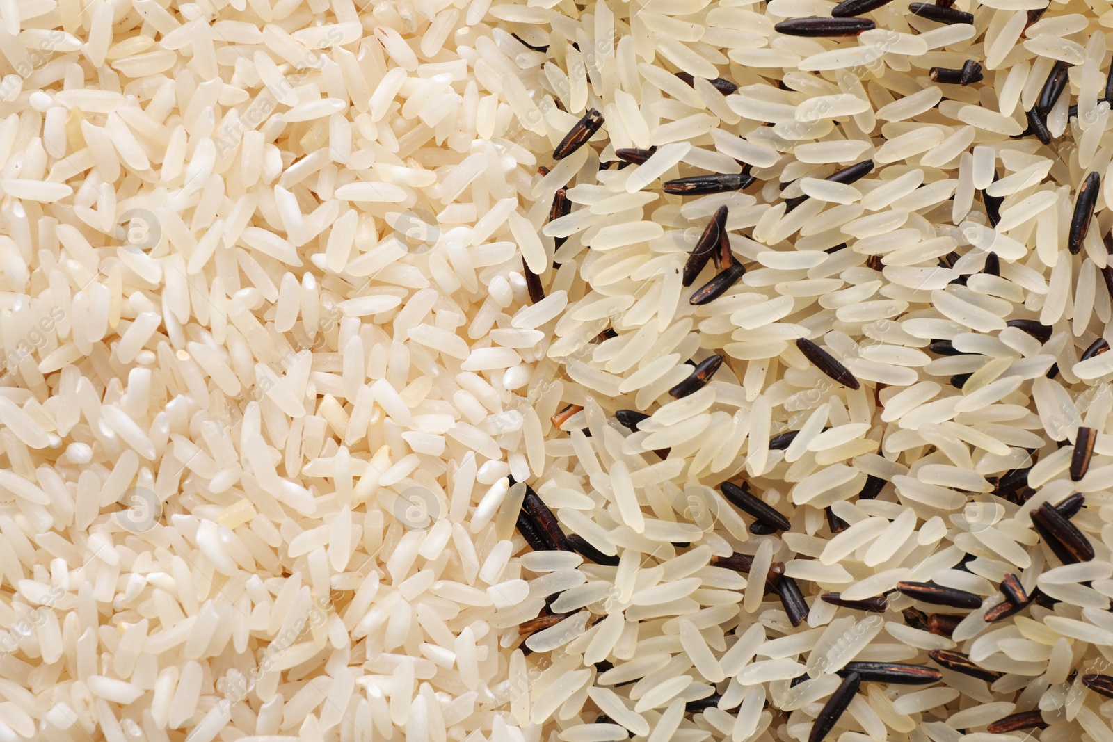 Photo of Brown and polished rice as background, top view