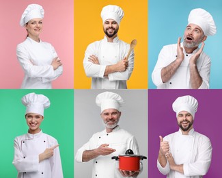 Collage with photos of professional chefs on different color backgrounds