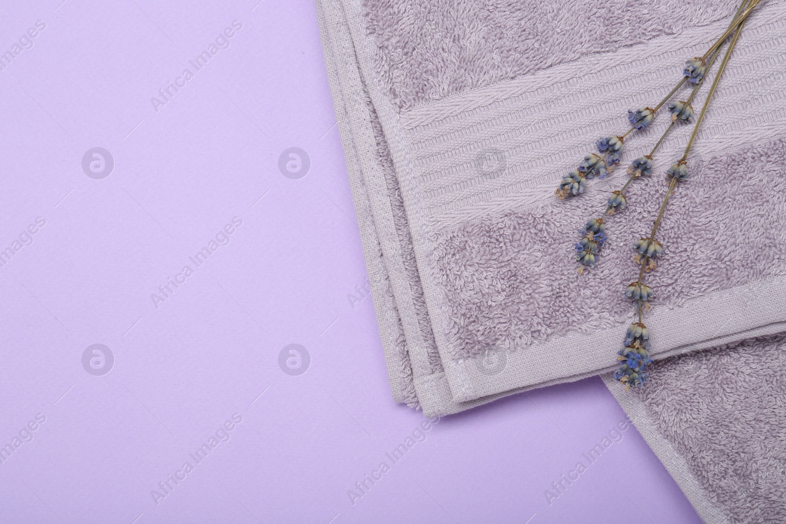Photo of Terry towel and lavender flowers on violet background, top view. Space for text