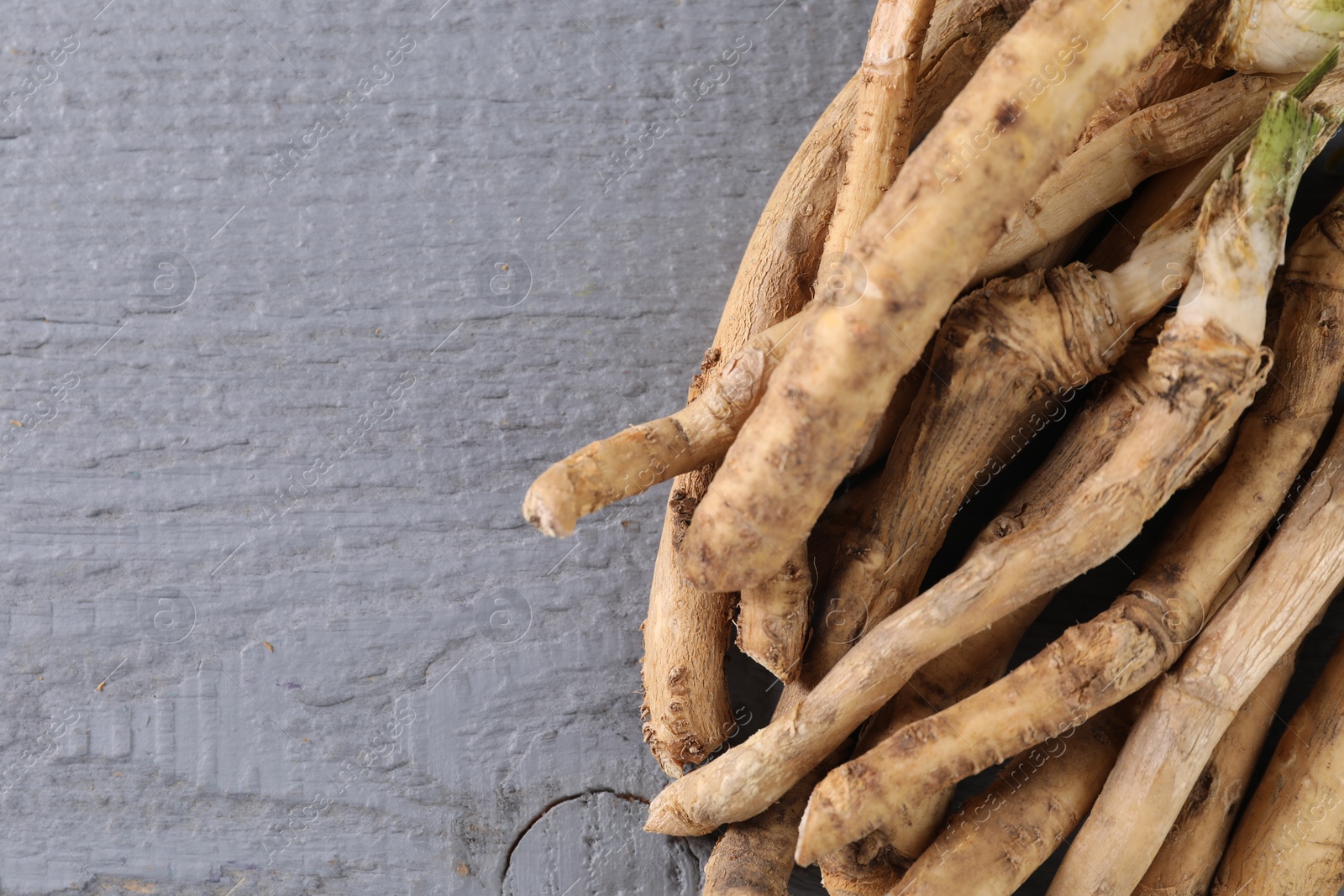 Photo of Fresh raw horseradish roots on grey wooden table, top view. Space for text