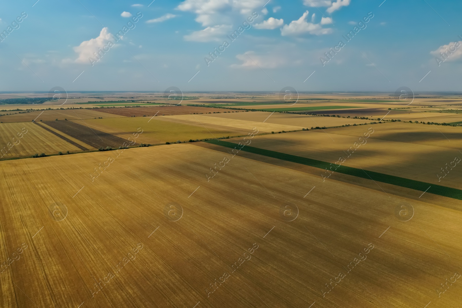 Photo of Aerial view of rural landscape with yellow mowed field. Agricultural industry