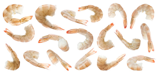 Image of Collage of raw shrimps on white background