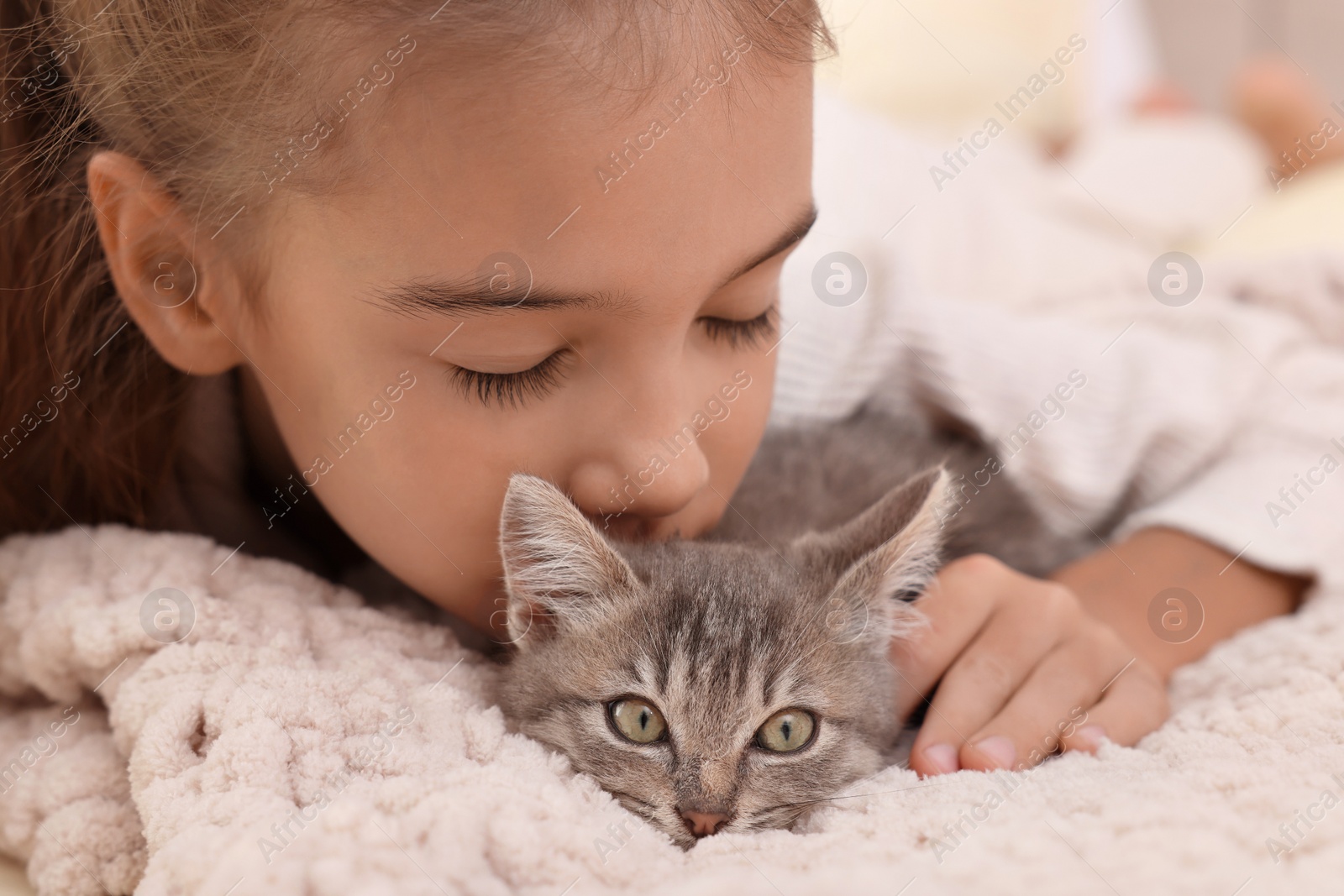 Photo of Cute little girl with kitten on white blanket, closeup. Childhood pet