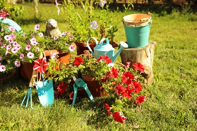 Photo of Set of gardening tools on grass outdoors