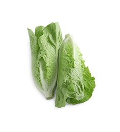 Photo of Fresh green romaine lettuces isolated on white, top view
