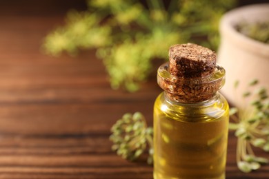 Photo of Bottle of essential oil and fresh dill on wooden table, closeup. Space for text