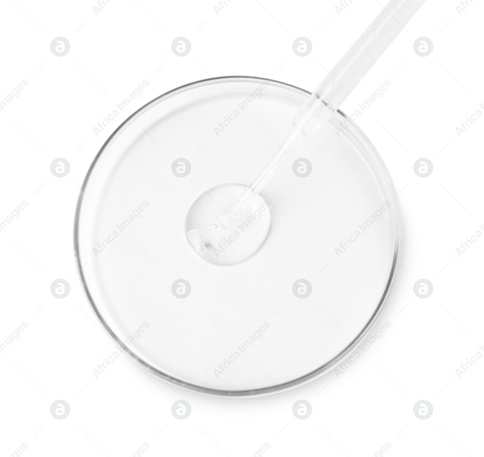 Photo of Glass pipette and petri dish with liquid on white background, top view