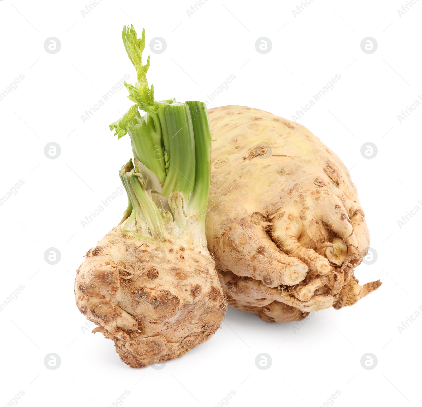 Photo of Fresh raw celery roots isolated on white