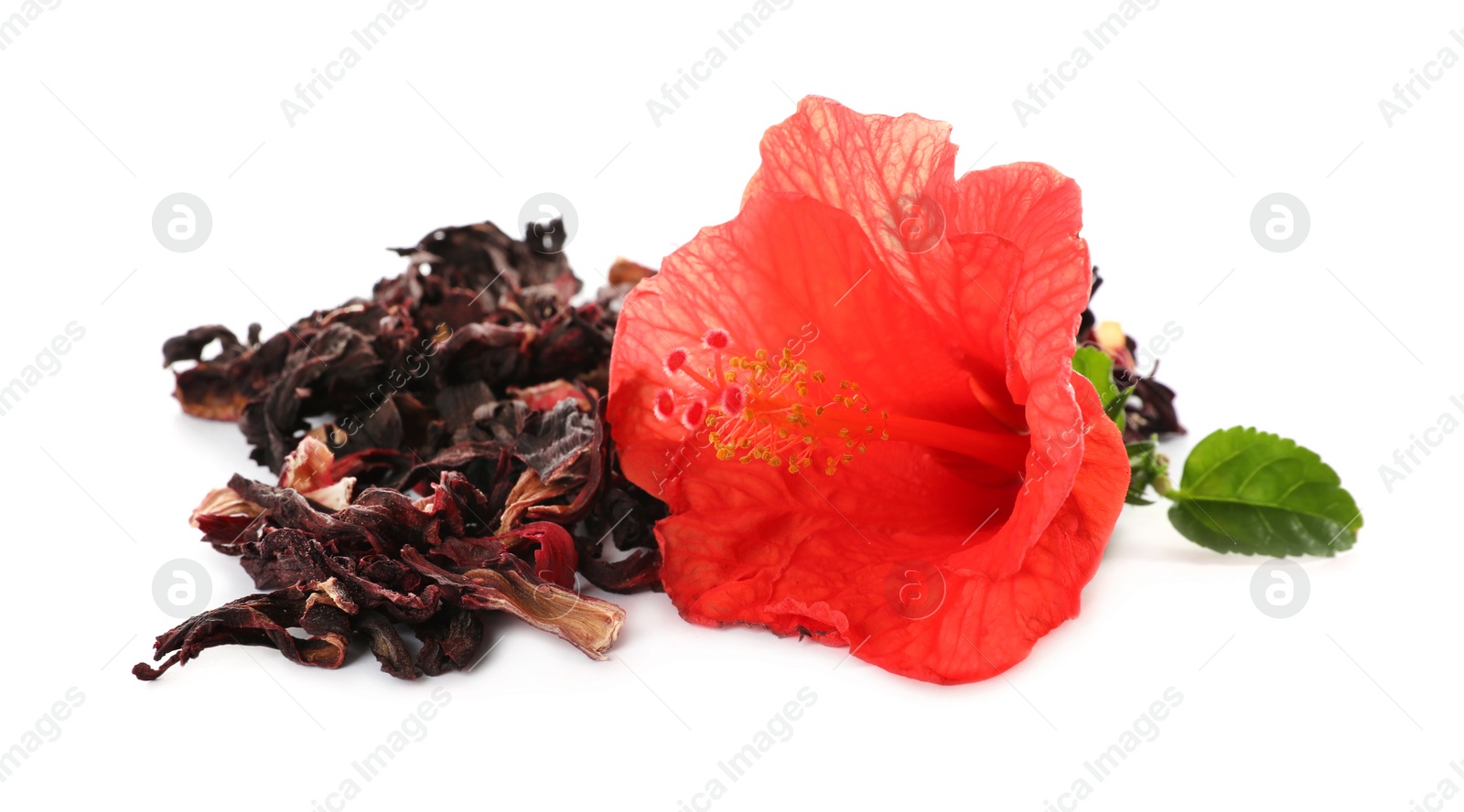 Photo of Dry hibiscus tea and beautiful flower on white background