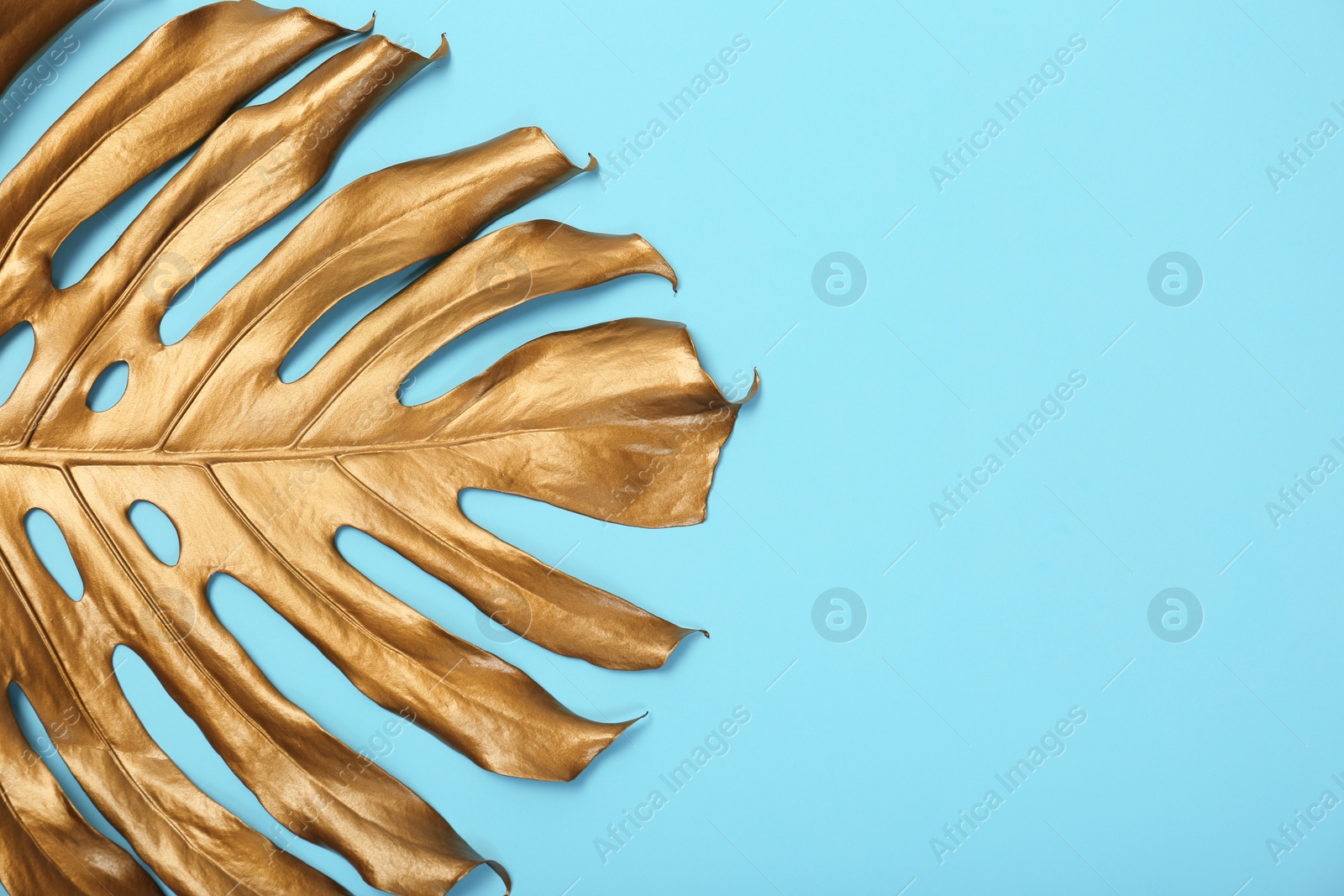 Photo of Painted tropical Monstera leaf and space for text on color background, top view