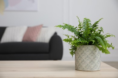 Beautiful green fern on wooden table in living room. Space for text