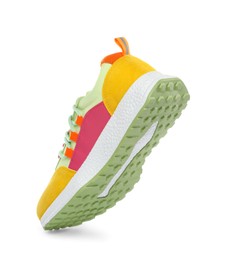 One stylish colorful sneaker isolated on white